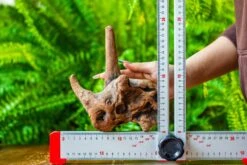 Driftwood For Moss Terrarium, Miniature, Micro Landscape, H015 -Ncyp Garden Sale Shop IMG 7433