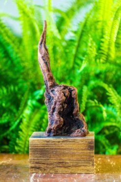 Driftwood For Moss Terrarium, Miniature, Micro Landscape, H017 -Ncyp Garden Sale Shop IMG 7435 585d7825 fc33 4c51 a456 bc399dec675c