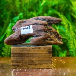 Driftwood For Moss Terrarium, Miniature, Micro Landscape, H008
