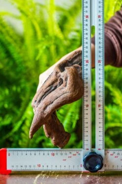 Driftwood For Moss Terrarium, Miniature, Micro Landscape, H008 -Ncyp Garden Sale Shop IMG 7450