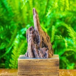 Driftwood For Moss Terrarium, Miniature, Micro Landscape, H011