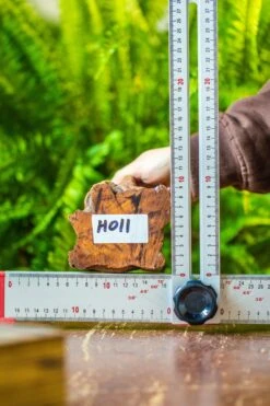 Driftwood For Moss Terrarium, Miniature, Micro Landscape, H011 -Ncyp Garden Sale Shop IMG 7466 8ee7ee50 ce53 4453 a1bf a35c3eedc862