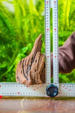 Driftwood For Moss Terrarium, Miniature, Micro Landscape, H011 -Ncyp Garden Sale Shop IMG 7467