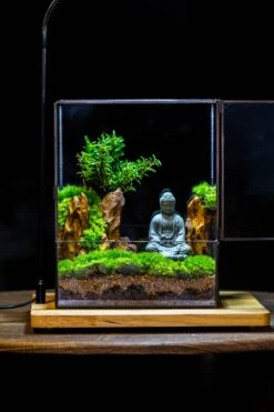 2-6" / 5-15cm Cutted Flat Bottom Natural Ohko Dragon Stone Rock For Terrarium, Aquarium Bonsai Landscape, 2kg/4.4lb, With DIY Tools -Ncyp Garden Sale Shop IMG 7505