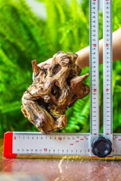 Driftwood For Moss Terrarium, Miniature, Micro Landscape, H005 -Ncyp Garden Sale Shop IMG 7535