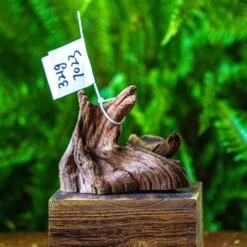 Driftwood For Moss Terrarium, Miniature, Micro Landscape, 7023