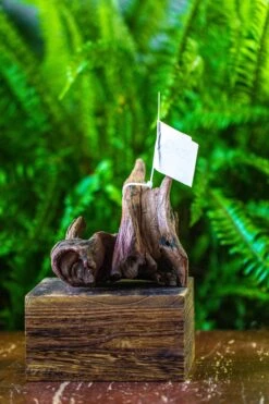Driftwood For Moss Terrarium, Miniature, Micro Landscape, 7023 -Ncyp Garden Sale Shop IMG 7549