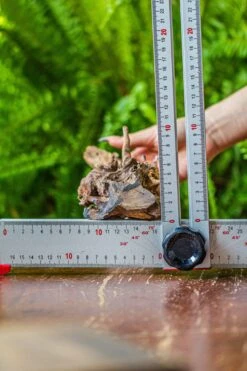 Driftwood For Moss Terrarium, Miniature, Micro Landscape, 7025 -Ncyp Garden Sale Shop IMG 7565 b21cfc58 3f2a 47e2 945b ce5684591a78