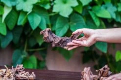 Natural Driftwood Roots Bag For Moss Terrarium Succulents Air Plants Reptile Miniature Habitat -Ncyp Garden Sale Shop IMG 7574