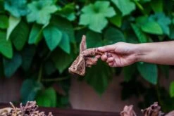 Natural Driftwood Roots Bag For Moss Terrarium Succulents Air Plants Reptile Miniature Habitat -Ncyp Garden Sale Shop IMG 7575