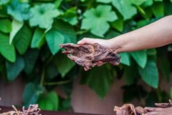 Natural Driftwood Roots Bag For Moss Terrarium Succulents Air Plants Reptile Miniature Habitat -Ncyp Garden Sale Shop IMG 7577