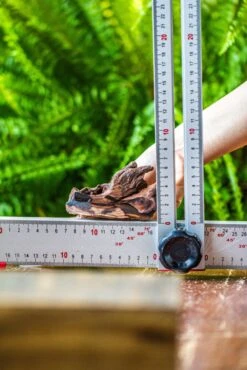 Driftwood For Moss Terrarium, Miniature, Micro Landscape, 7034 -Ncyp Garden Sale Shop IMG 7602 3b358981 db37 4d43 bac2 eb8f5c836c36