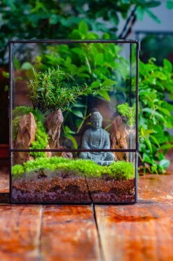 2-6" / 5-15cm Cutted Flat Bottom Natural Ohko Dragon Stone Rock For Terrarium, Aquarium Bonsai Landscape, 2kg/4.4lb, With DIY Tools -Ncyp Garden Sale Shop IMG 7606