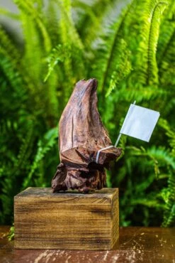 Driftwood For Moss Terrarium, Miniature, Micro Landscape, 7047 -Ncyp Garden Sale Shop IMG 7610 13877d49 72be 4bf9 ba56 f71bbb402acb