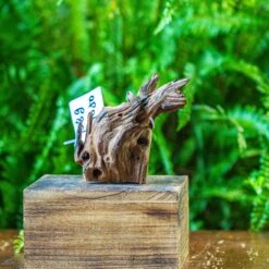 Driftwood For Moss Terrarium, Miniature, Micro Landscape, 7050