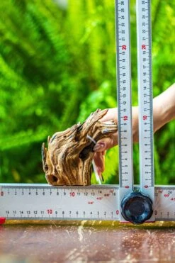 Driftwood For Moss Terrarium, Miniature, Micro Landscape, 7050 -Ncyp Garden Sale Shop IMG 7622