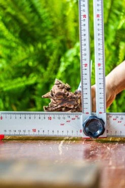 Driftwood For Moss Terrarium, Miniature, Micro Landscape, 7041 -Ncyp Garden Sale Shop IMG 7626