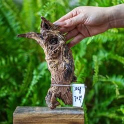 Driftwood For Moss Terrarium, Miniature, Micro Landscape, 7029