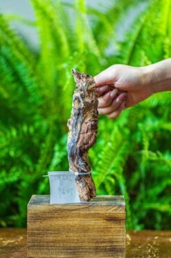 Driftwood For Moss Terrarium, Miniature, Micro Landscape, 7029 -Ncyp Garden Sale Shop IMG 7630 eb7a9bc3 7c51 4d3f 81c1 2a8259b0a18d