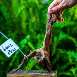 Driftwood For Moss Terrarium, Miniature, Micro Landscape, 7049
