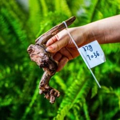 Driftwood For Moss Terrarium, Miniature, Micro Landscape, 7036