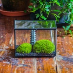 Preserved Moss Terrarium Miniature DIY Set, Japanese Zen Style, Preserved Leucobryum Moss And Pagoda, 17*10*12cm / 6.7 X 3.9 X 4.7"