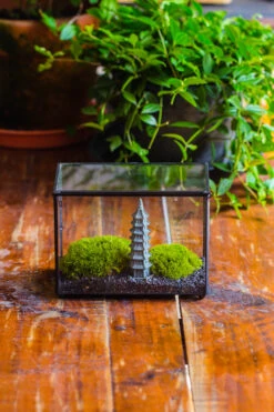 Preserved Moss Terrarium Miniature DIY Set, Japanese Zen Style, Preserved Leucobryum Moss And Pagoda, 17*10*12cm / 6.7 X 3.9 X 4.7" -Ncyp Garden Sale Shop IMG 7770 2