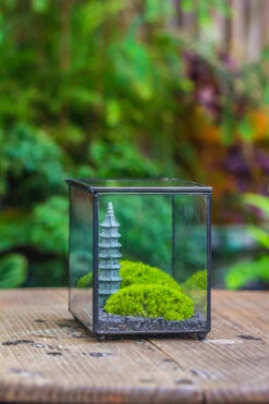 Preserved Moss Terrarium Miniature DIY Set, Japanese Zen Style, Preserved Leucobryum Moss And Pagoda, 17*10*12cm / 6.7 X 3.9 X 4.7" -Ncyp Garden Sale Shop IMG 7784