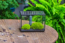 Preserved Moss Terrarium Miniature DIY Set, Japanese Zen Style, Preserved Leucobryum Moss And Pagoda, 17*10*12cm / 6.7 X 3.9 X 4.7" -Ncyp Garden Sale Shop IMG 7786