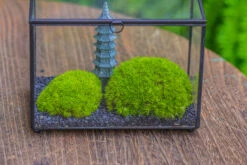 Preserved Moss Terrarium Miniature DIY Set, Japanese Zen Style, Preserved Leucobryum Moss And Pagoda, 17*10*12cm / 6.7 X 3.9 X 4.7" -Ncyp Garden Sale Shop IMG 7787