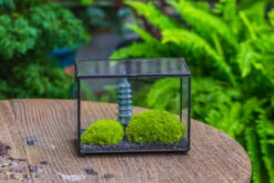 Preserved Moss Terrarium Miniature DIY Set, Japanese Zen Style, Preserved Leucobryum Moss And Pagoda, 17*10*12cm / 6.7 X 3.9 X 4.7" -Ncyp Garden Sale Shop IMG 7788