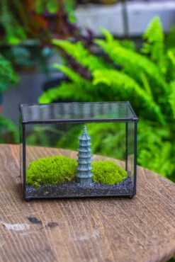 Preserved Moss Terrarium Miniature DIY Set, Japanese Zen Style, Preserved Leucobryum Moss And Pagoda, 17*10*12cm / 6.7 X 3.9 X 4.7" -Ncyp Garden Sale Shop IMG 7790