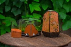 Rain Forest Sticky Red Clay For DIY Moss Wall, Plant Moss / Plants On The Wall, Vertical Landscape, Vivarium, Terrarium -Ncyp Garden Sale Shop IMG 7903
