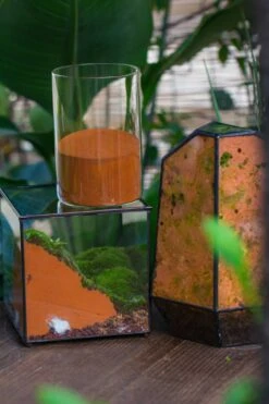 Rain Forest Sticky Red Clay For DIY Moss Wall, Plant Moss / Plants On The Wall, Vertical Landscape, Vivarium, Terrarium -Ncyp Garden Sale Shop IMG 7935