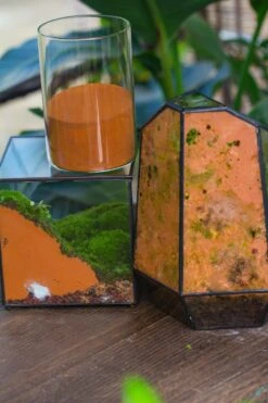 Rain Forest Sticky Red Clay For DIY Moss Wall, Plant Moss / Plants On The Wall, Vertical Landscape, Vivarium, Terrarium -Ncyp Garden Sale Shop IMG 7936