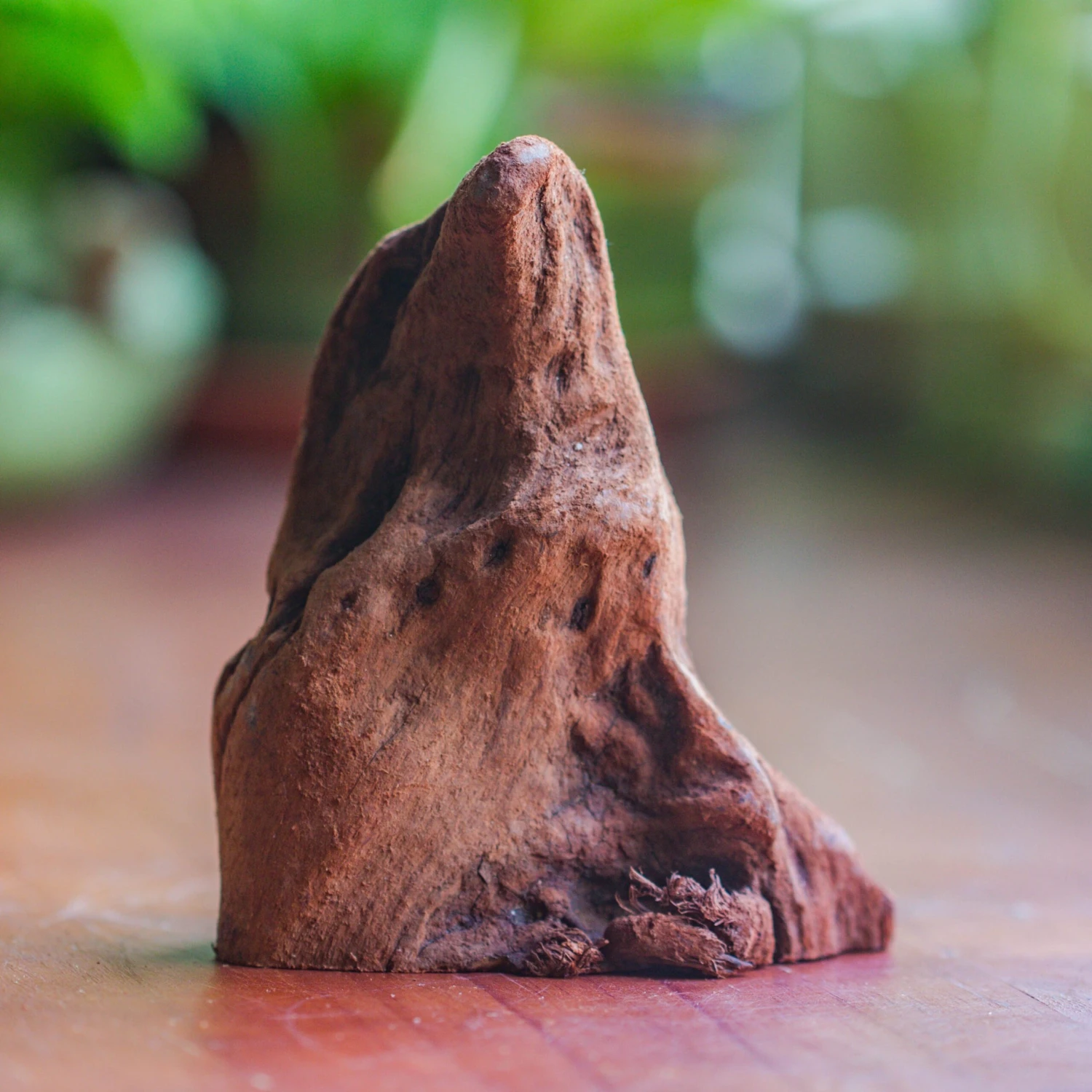 Natural Driftwood For Moss Terrarium, Miniature, Micro Landscape, Unique 10-27, Suitable For Both Live And Preserved Moss 2 Natural Driftwood For Moss Terrarium, Miniature, Micro Landscape, Unique 10-27, Suitable For Both Live And Preserved Moss - Image 2