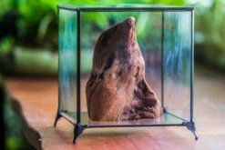 Natural Driftwood For Moss Terrarium, Miniature, Micro Landscape, Unique 10-27, Suitable For Both Live And Preserved Moss 5 Natural Driftwood For Moss Terrarium, Miniature, Micro Landscape, Unique 10-27, Suitable For Both Live And Preserved Moss -Ncyp Garden Sale Shop IMG 7978