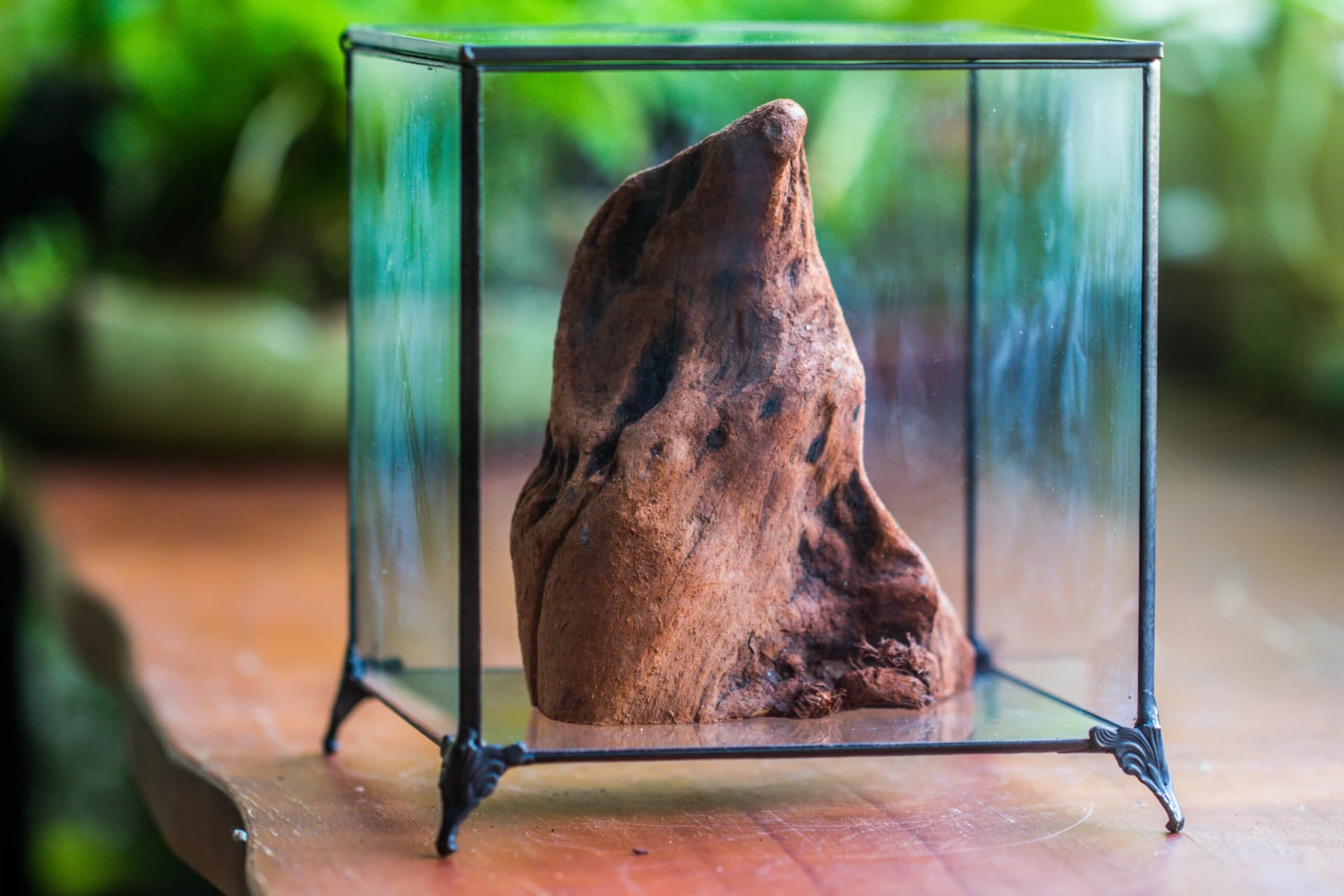 Natural Driftwood For Moss Terrarium, Miniature, Micro Landscape, Unique 10-27, Suitable For Both Live And Preserved Moss 3 Natural Driftwood For Moss Terrarium, Miniature, Micro Landscape, Unique 10-27, Suitable For Both Live And Preserved Moss - Image 3