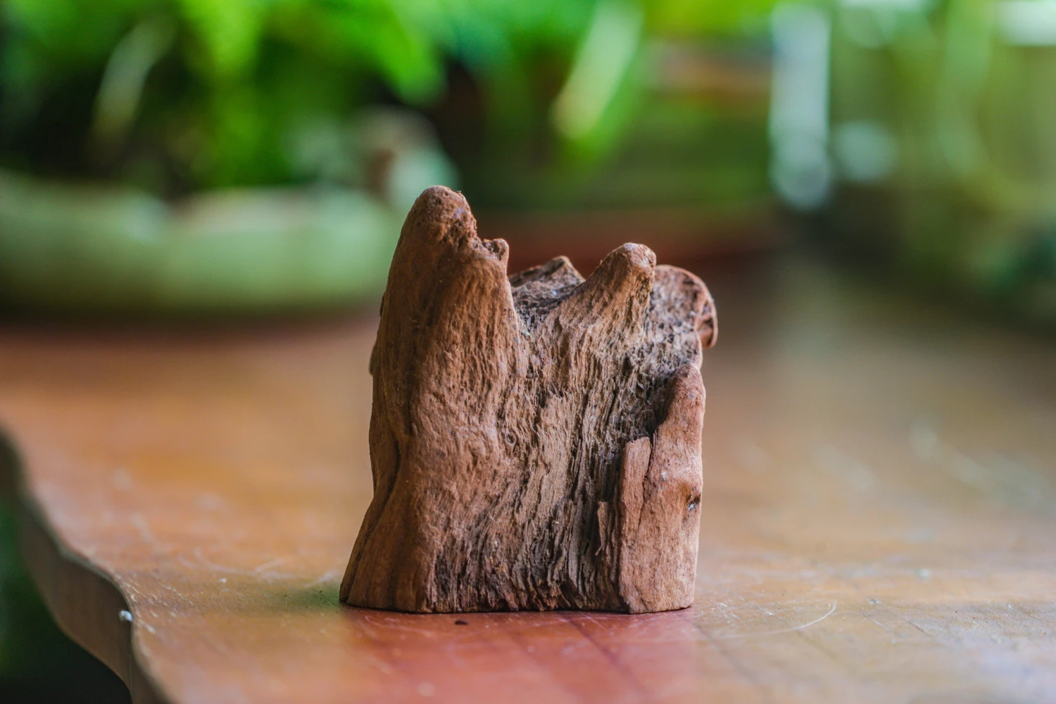 Natural Driftwood For Moss Terrarium, Miniature, Micro Landscape, Unique 10-26, Suitable For Both Live And Preserved Moss 4 Natural Driftwood For Moss Terrarium, Miniature, Micro Landscape, Unique 10-26, Suitable For Both Live And Preserved Moss - Image 4