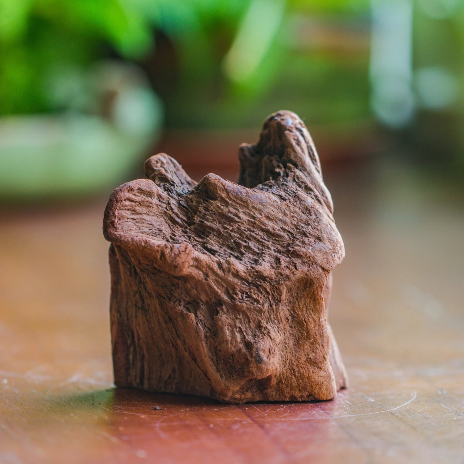 Natural Driftwood For Moss Terrarium, Miniature, Micro Landscape, Unique 10-26, Suitable For Both Live And Preserved Moss 2 Natural Driftwood For Moss Terrarium, Miniature, Micro Landscape, Unique 10-26, Suitable For Both Live And Preserved Moss - Image 2