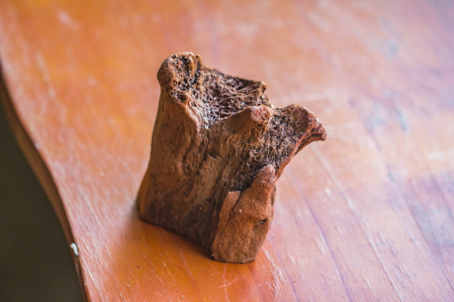 Natural Driftwood For Moss Terrarium, Miniature, Micro Landscape, Unique 10-26, Suitable For Both Live And Preserved Moss 3 Natural Driftwood For Moss Terrarium, Miniature, Micro Landscape, Unique 10-26, Suitable For Both Live And Preserved Moss - Image 3