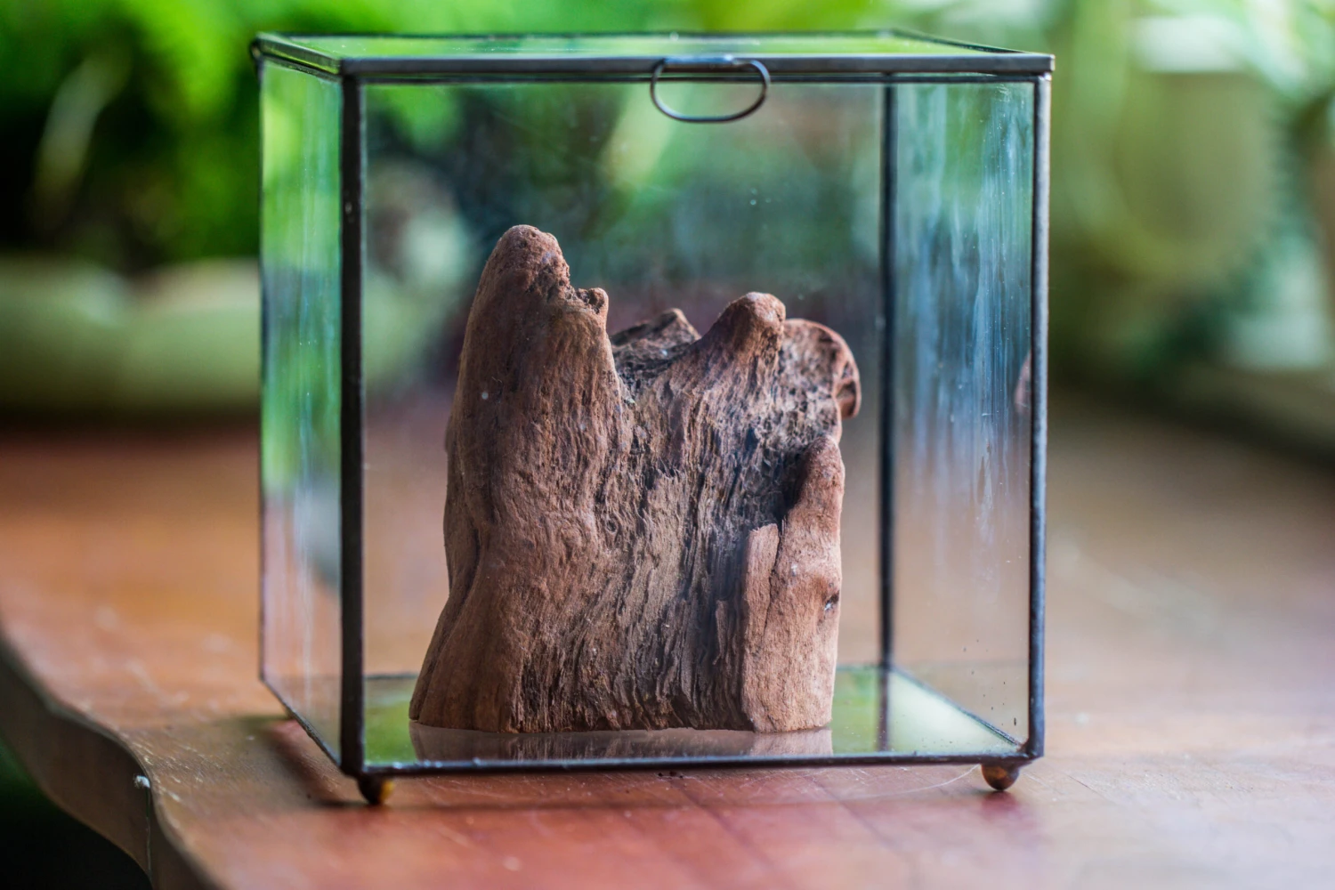 Natural Driftwood For Moss Terrarium, Miniature, Micro Landscape, Unique 10-26, Suitable For Both Live And Preserved Moss 5 Natural Driftwood For Moss Terrarium, Miniature, Micro Landscape, Unique 10-26, Suitable For Both Live And Preserved Moss - Image 5