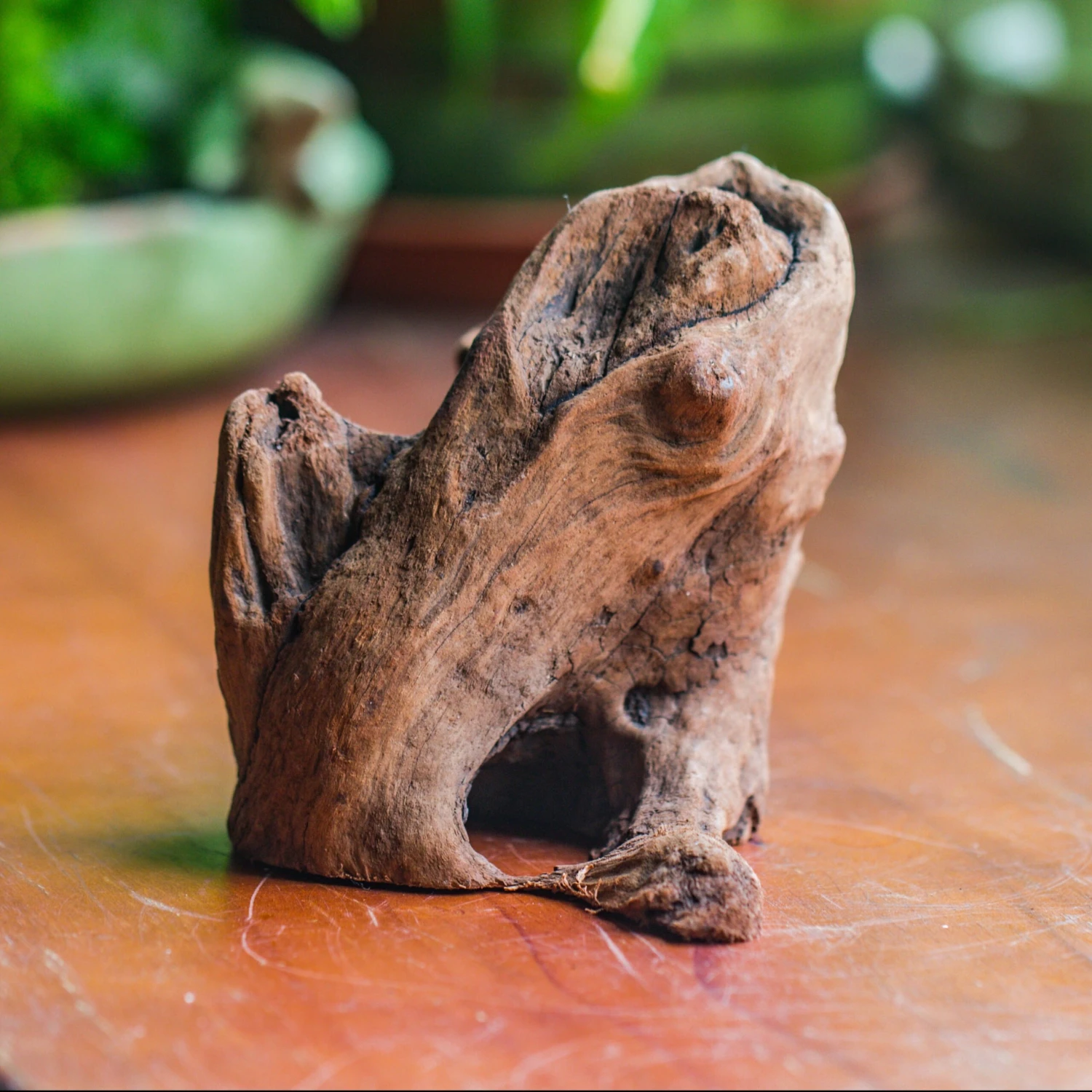 Natural Driftwood For Moss Terrarium, Miniature, Micro Landscape, Unique 10-11, Suitable For Both Live And Preserved Moss 2 Natural Driftwood For Moss Terrarium, Miniature, Micro Landscape, Unique 10-11, Suitable For Both Live And Preserved Moss - Image 2