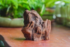 Natural Driftwood For Moss Terrarium, Miniature, Micro Landscape, Unique 10-11, Suitable For Both Live And Preserved Moss 12 Natural Driftwood For Moss Terrarium, Miniature, Micro Landscape, Unique 10-11, Suitable For Both Live And Preserved Moss -Ncyp Garden Sale Shop IMG 8015