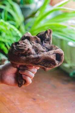 Natural Driftwood For Moss Terrarium, Miniature, Micro Landscape, Unique 10-11, Suitable For Both Live And Preserved Moss 13 Natural Driftwood For Moss Terrarium, Miniature, Micro Landscape, Unique 10-11, Suitable For Both Live And Preserved Moss -Ncyp Garden Sale Shop IMG 8016