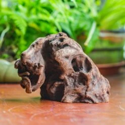 Natural Driftwood For Moss Terrarium, Miniature, Micro Landscape, Unique 10-30, Suitable For Both Live And Preserved Moss