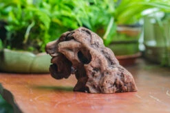 Natural Driftwood For Moss Terrarium, Miniature, Micro Landscape, Unique 10-30, Suitable For Both Live And Preserved Moss 9 Natural Driftwood For Moss Terrarium, Miniature, Micro Landscape, Unique 10-30, Suitable For Both Live And Preserved Moss -Ncyp Garden Sale Shop IMG 8020