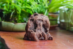 Natural Driftwood For Moss Terrarium, Miniature, Micro Landscape, Unique 10-30, Suitable For Both Live And Preserved Moss 10 Natural Driftwood For Moss Terrarium, Miniature, Micro Landscape, Unique 10-30, Suitable For Both Live And Preserved Moss -Ncyp Garden Sale Shop IMG 8021