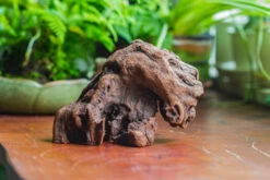 Natural Driftwood For Moss Terrarium, Miniature, Micro Landscape, Unique 10-30, Suitable For Both Live And Preserved Moss 11 Natural Driftwood For Moss Terrarium, Miniature, Micro Landscape, Unique 10-30, Suitable For Both Live And Preserved Moss -Ncyp Garden Sale Shop IMG 8022