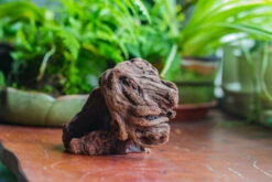 Natural Driftwood For Moss Terrarium, Miniature, Micro Landscape, Unique 10-30, Suitable For Both Live And Preserved Moss 12 Natural Driftwood For Moss Terrarium, Miniature, Micro Landscape, Unique 10-30, Suitable For Both Live And Preserved Moss -Ncyp Garden Sale Shop IMG 8023